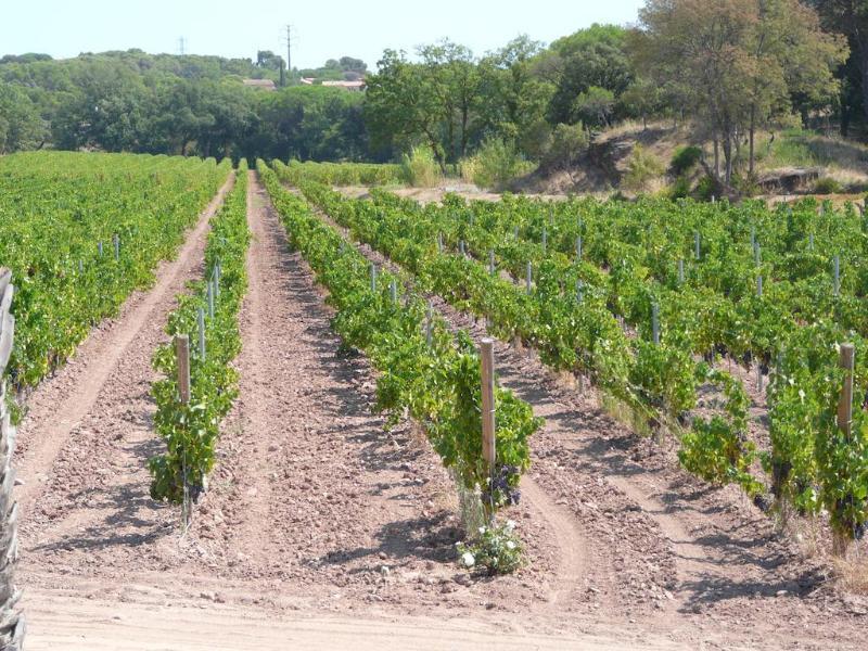 La Bastide Du Clos Des Roses - Teritoria Fréjus Εξωτερικό φωτογραφία