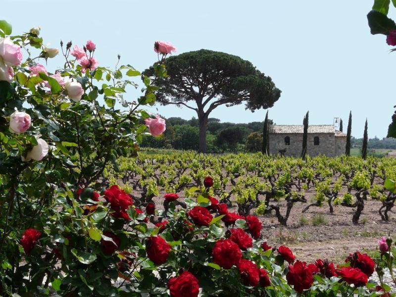 La Bastide Du Clos Des Roses - Teritoria Fréjus Εξωτερικό φωτογραφία