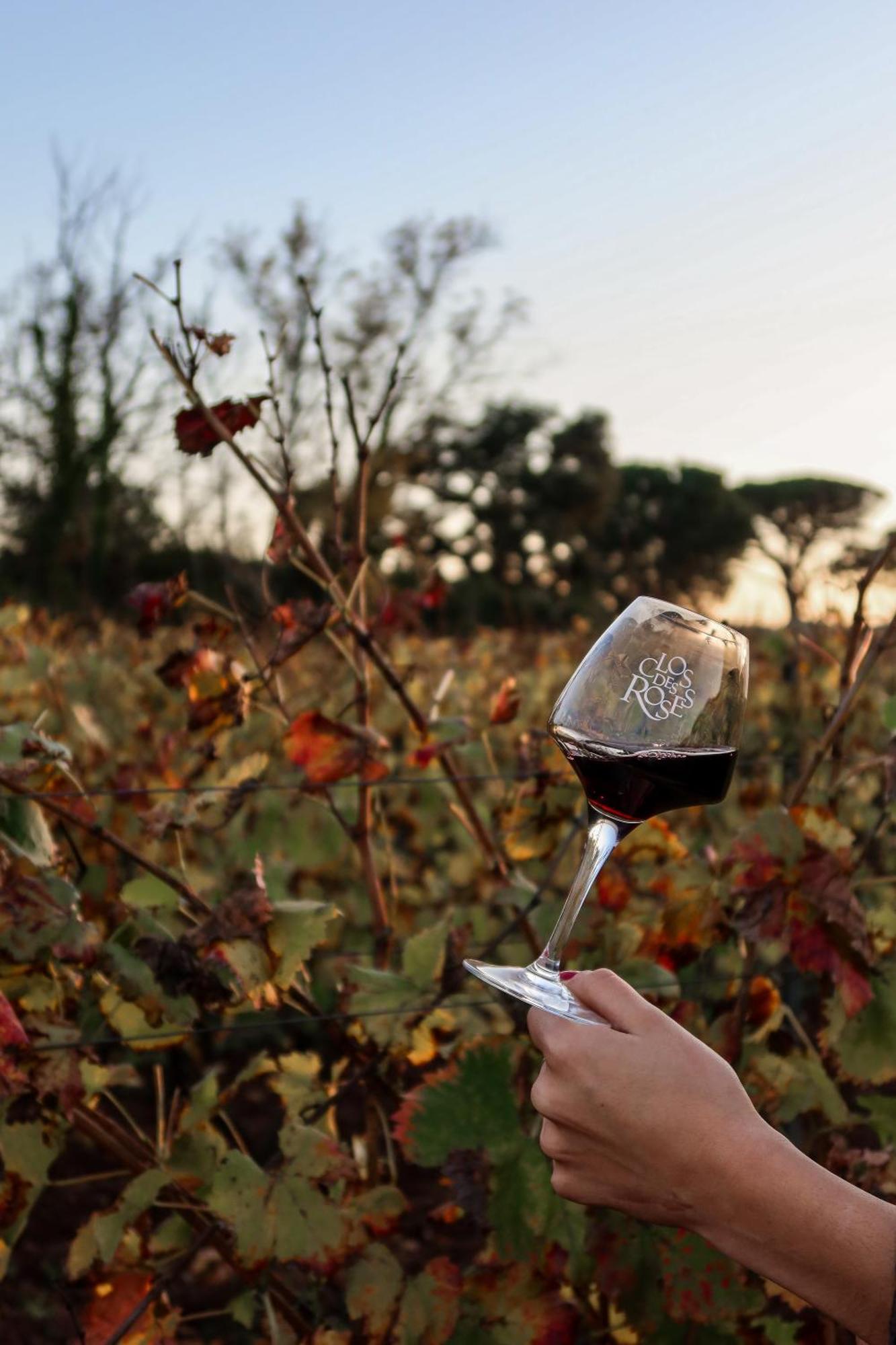 La Bastide Du Clos Des Roses - Teritoria Fréjus Εξωτερικό φωτογραφία